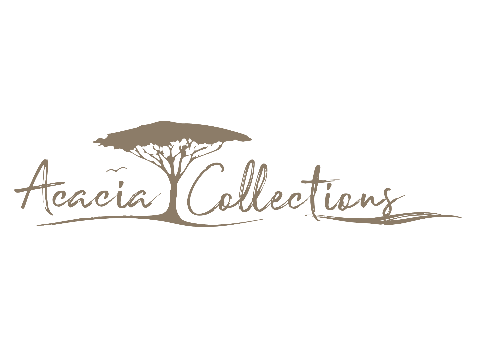 Acacia Collections
