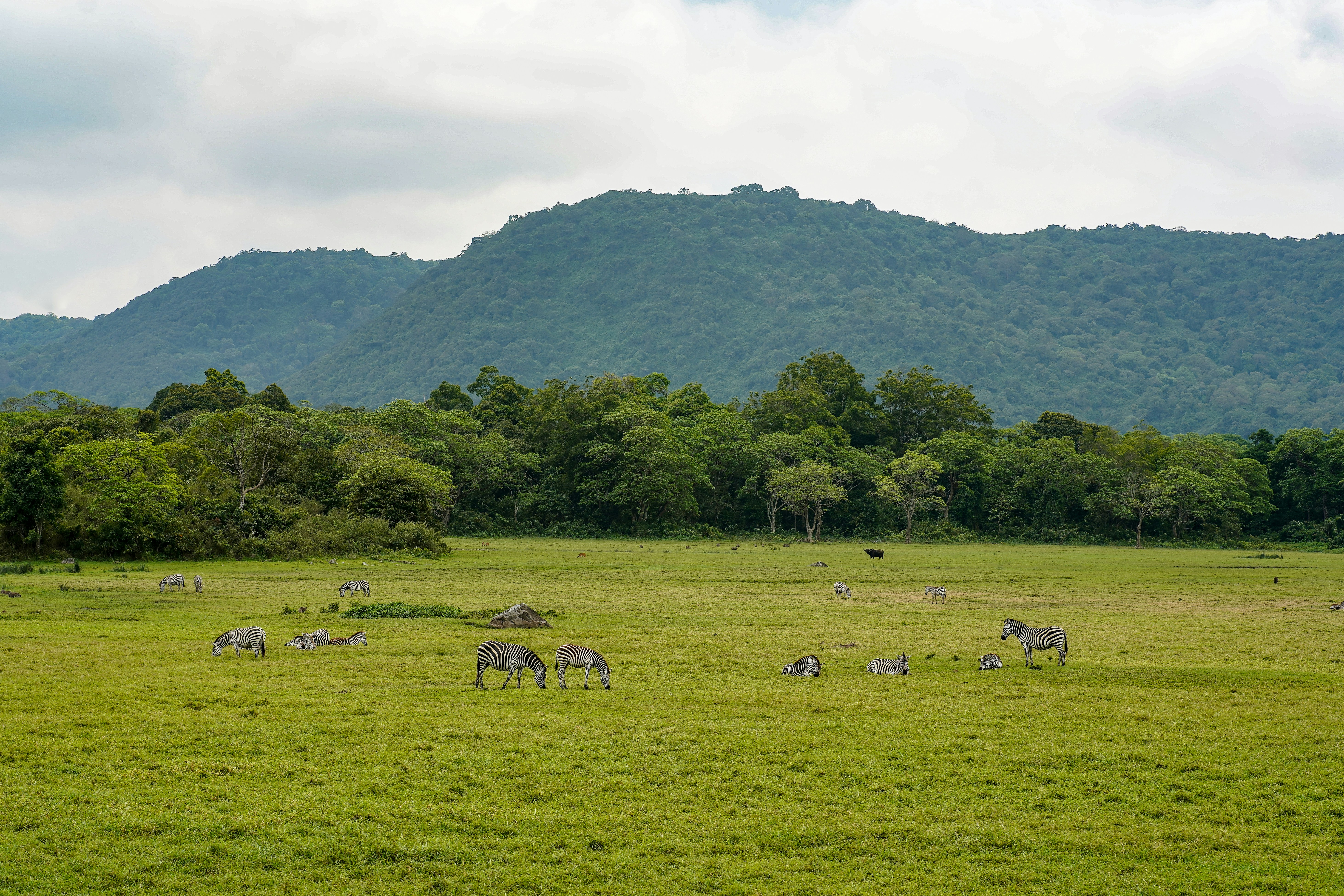 Arusha National Park Day Trip