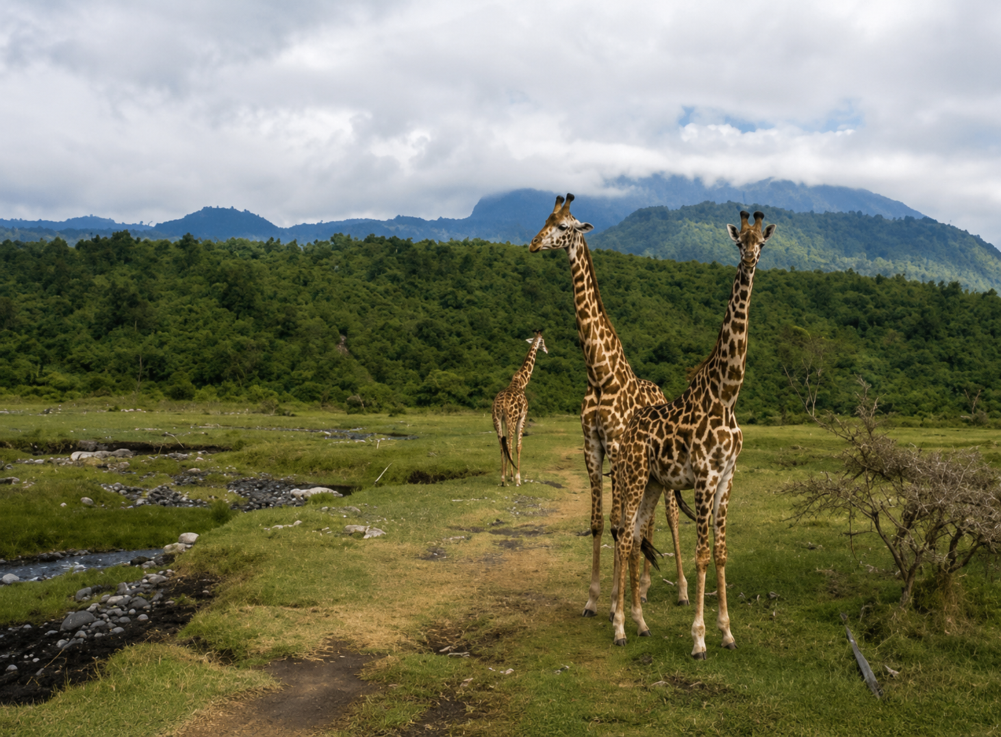Arusha National Park