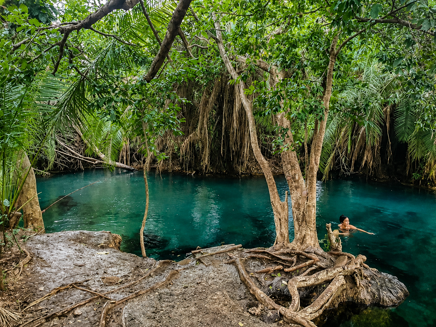 Kikuletwa Hotsprings Day Trip