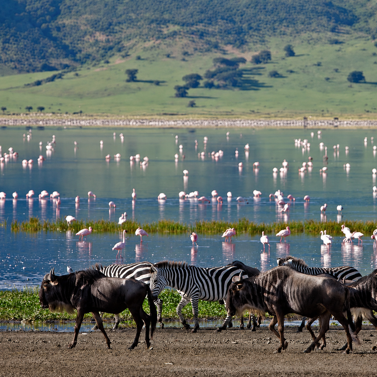 Lake Manyara National Park