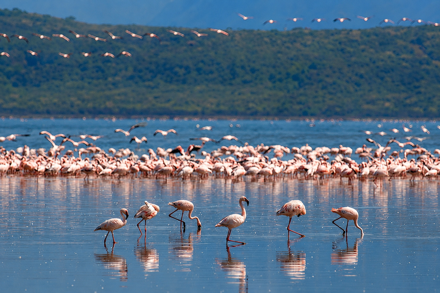 Lake Manyara Day Trip