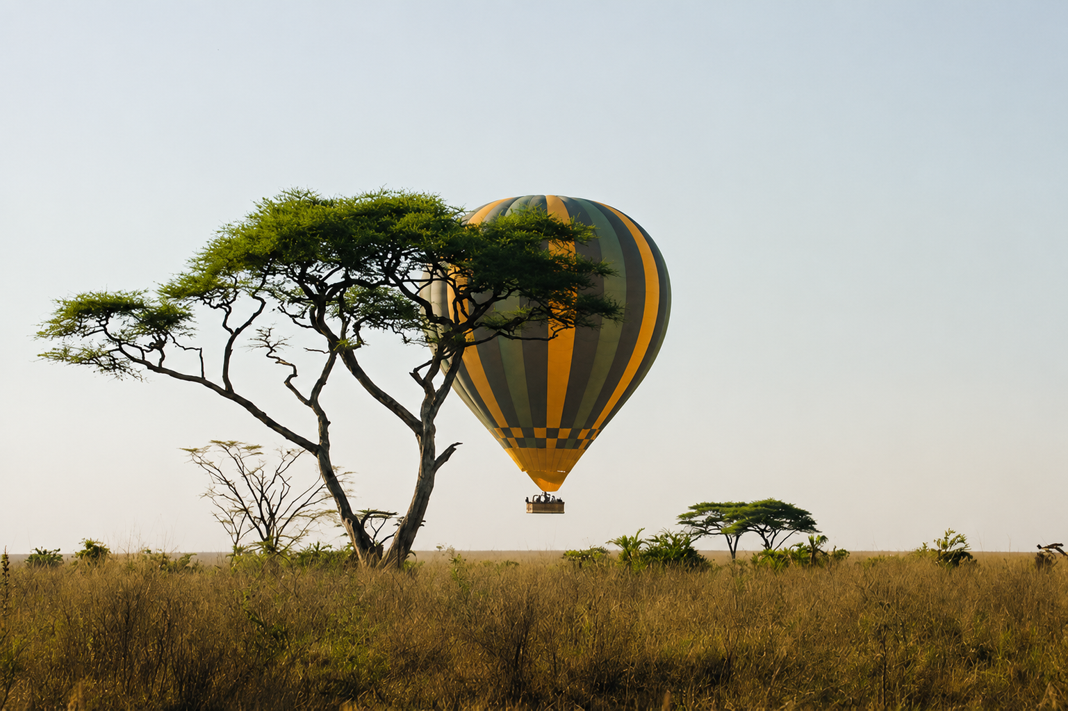 Balloon Safari