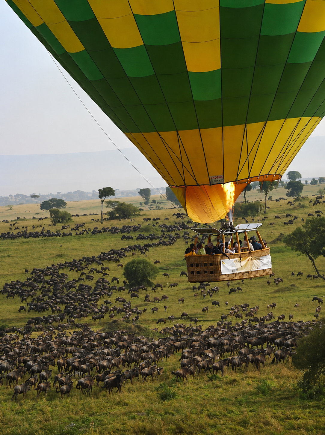 Flying Safari