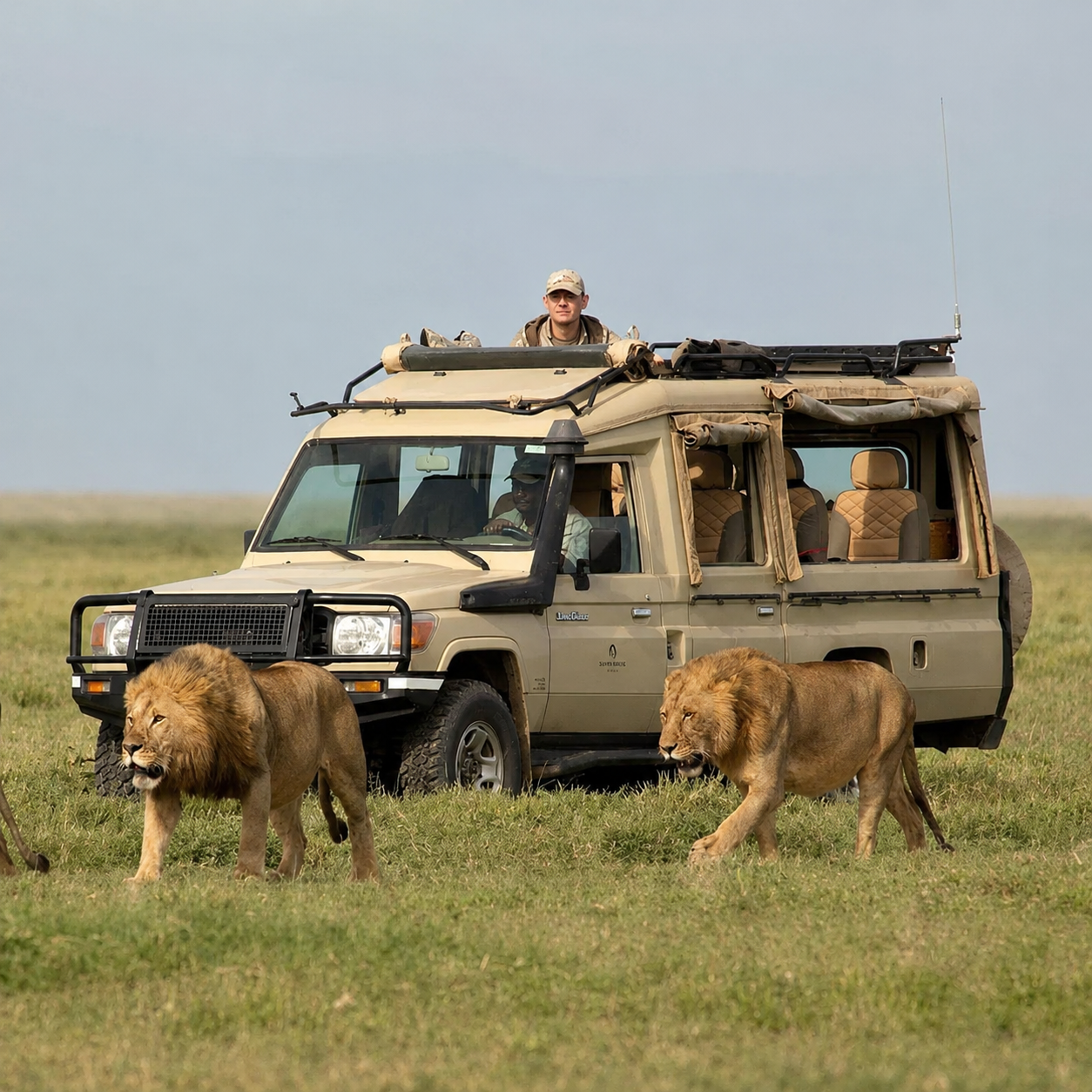 Guided Walking Safaris