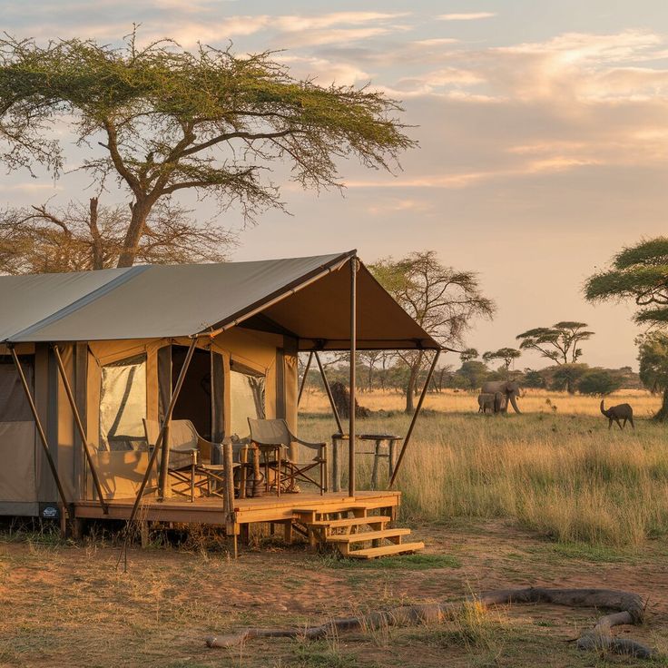 3 Days Tanzania Lodge Safari — Tarangire & Ngorongoro